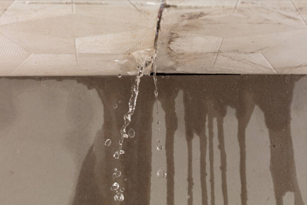 Professional Burst Pipe Cleanup technician working in Farmington, IL